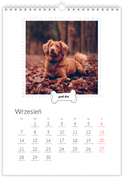 Kalendarz z psem